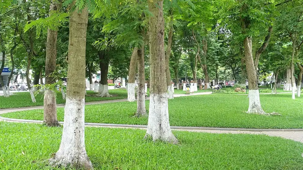 Hà Nội